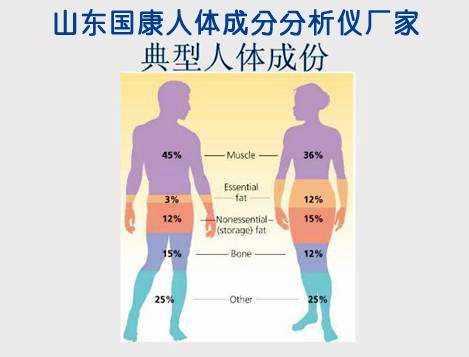 山東大菠萝导航在线观看菠萝蜜黄色网廠家告訴您人體的成分