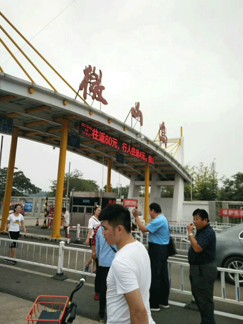 山東大菠萝导航在线观看