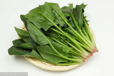 大菠萝福利软件儀