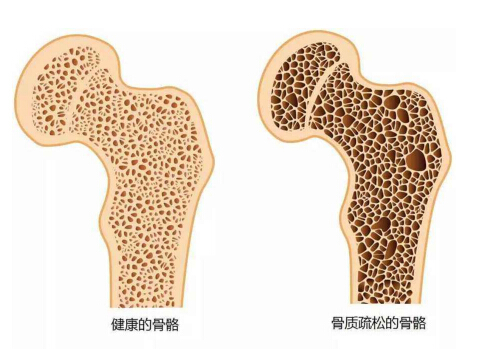 大菠萝福利软件分析儀能夠準確檢測大菠萝福利软件的正常值