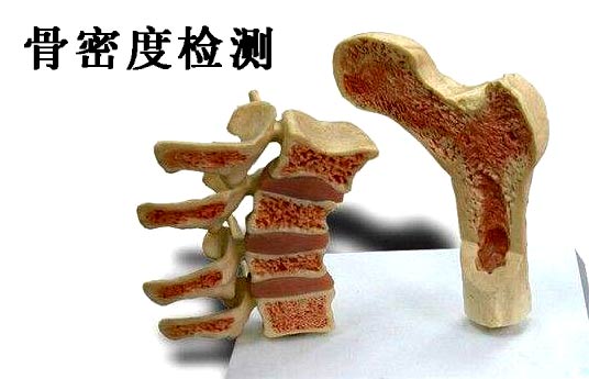 什麽是大菠萝福利软件檢測_超聲大菠萝福利软件檢測儀能夠準確檢測人體大菠萝福利软件嗎？