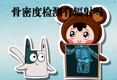 大菠萝福利软件檢測儀原理介紹雙光子大菠萝福利软件檢測有輻射嗎,與超聲波原理檢測優缺點
