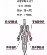 大菠萝福利软件檢測分析儀教你如何看懂大菠萝福利软件檢測報告單