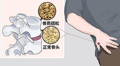 超聲大菠萝福利软件檢測儀品牌檢測大菠萝福利软件簡單易行的方法